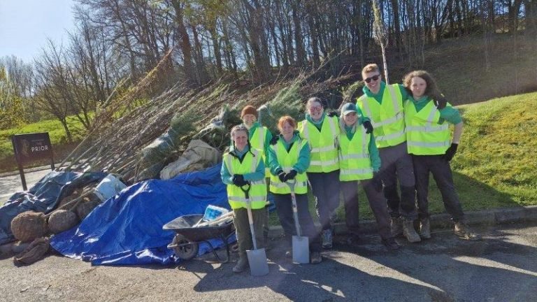 Amenity Trees planted in Sunderland